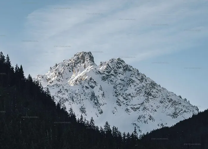 Апартаменти Skis Aux Pieds Pour Familles Avec Balcon Et Parking - Fr-1-864-4 Куршавель